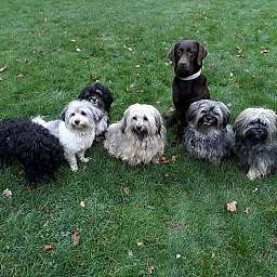 Elise, Adele, Wilma, Debbie, Angelo