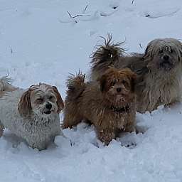 Elise, Frieda, Linus