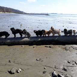 Livvy & Ida, Elise, Frieda, Adele, Wilma