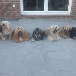 Elise, Nacho, Frieda, Adele, Wilma