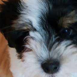 Joschi