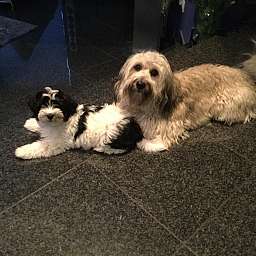 Georg, Freddy