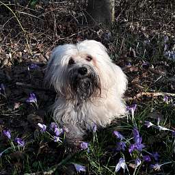 Berti-Brezel