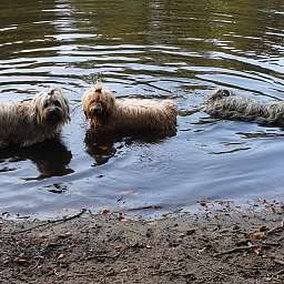 Elise, Frieda, Wilma