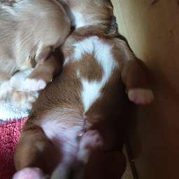 2019-10-18_123412356.jpg