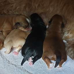 2019-10-18_123456789.jpg
