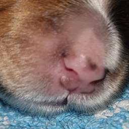 2019-10-21_123456789.jpg