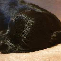 2019-10-28_123345678.jpg