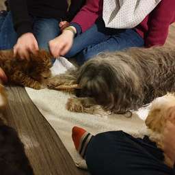 2019-12-03_123456789.jpg