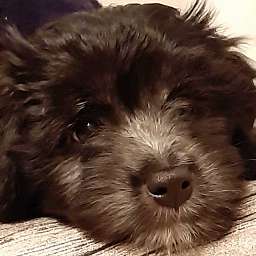 2019-12-10_1123456789.jpg