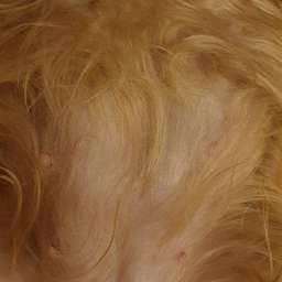 2021-02-13_1123456789.jpg