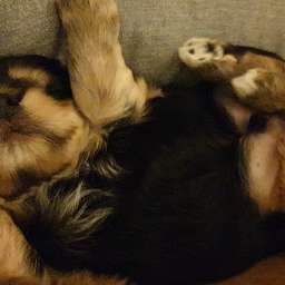 2023-01-14_1234456789.jpeg
