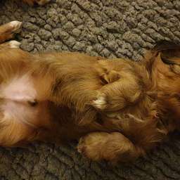 2023-01-22_1234456789.jpeg