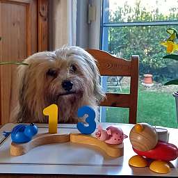 2025-03-04_1234567890.jpg